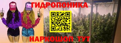 мяу мяу мука Кулебаки