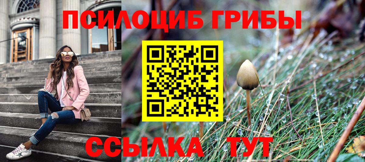 Каменск-Шахтинский  Псилоцибиновые грибы прущие грибы  Вход с VPN 