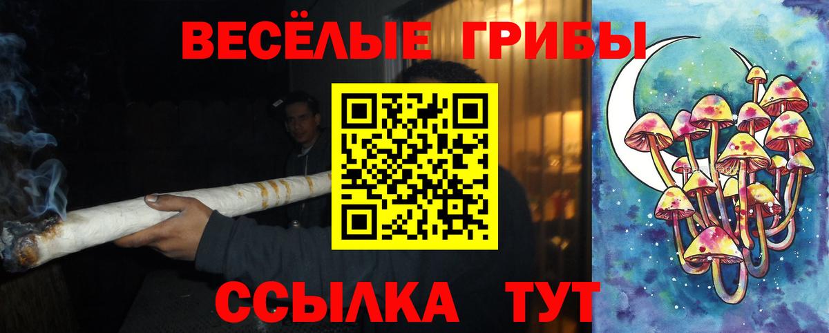 Псилоцибиновые грибы Magic Shrooms Каменск-Шахтинский